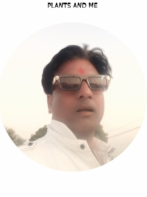 Yogesh Sharma profile photo