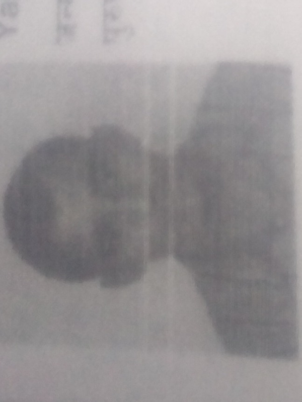 Yashwant Joshi profile photo